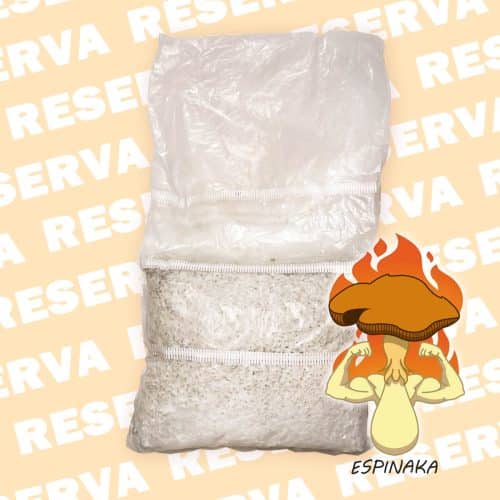 BOLSA DE MICELIO 1KG