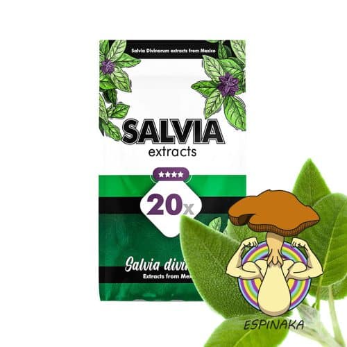 extracto de salvia