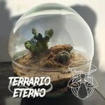 Terrario eterno desierto