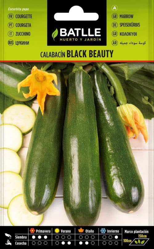 SEMILLAS DE CALABACÍN