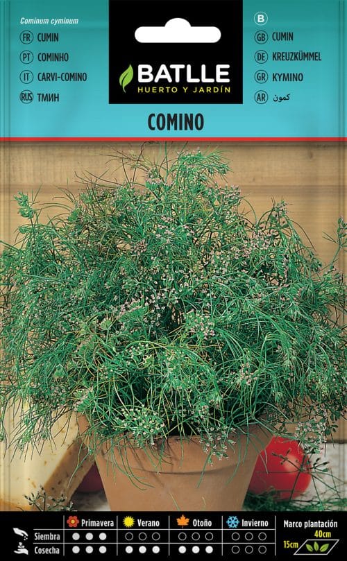 SEMILLAS DE COMINO