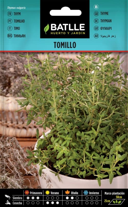 SEMILLAS TOMILLO