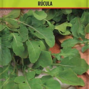 SEMILLAS DE RÚCULA