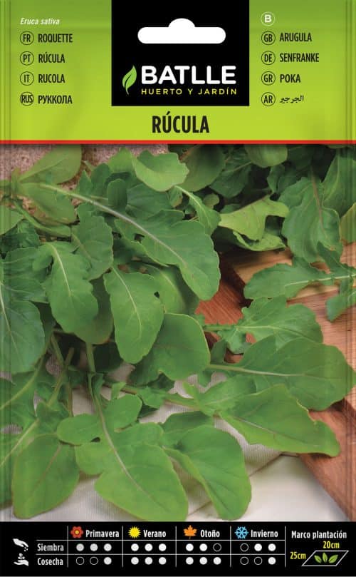 SEMILLAS DE RÚCULA