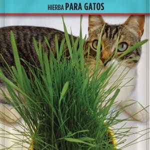 SEMILLAS HIERBA GATERA