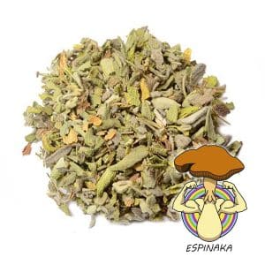 SALVIA OFFICINALIS