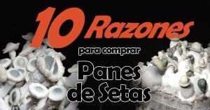 Motivos para compar panes de setas Baratos