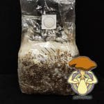 tres litros de sustrato altamente colonizado de setas melena de leon en bolsa